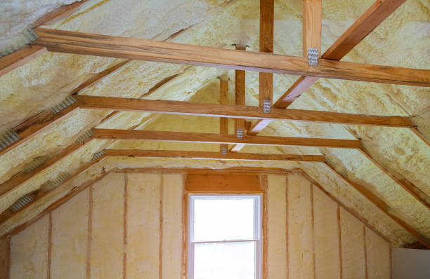 Best Residential Insulation Services  in Leland, NC