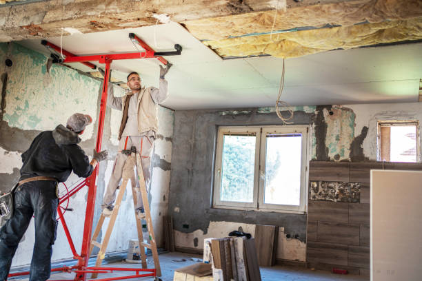 Best Insulation Replacement Services  in Leland, NC