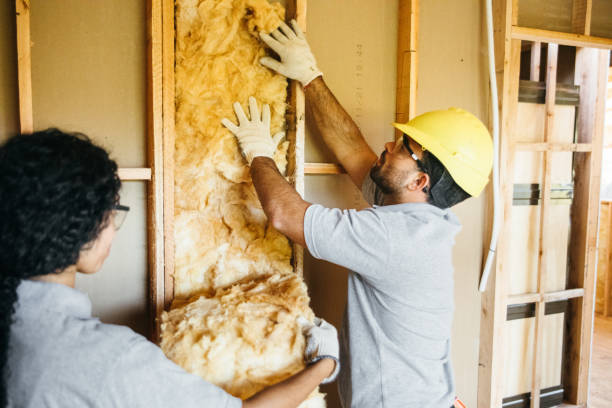 Trusted Leland, NC Insulation Contractor Experts