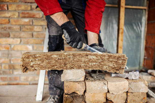 Best Cellulose Insulation  in Leland, NC