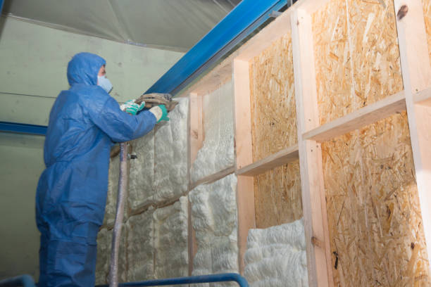 Best Insulation Removal  in Leland, NC