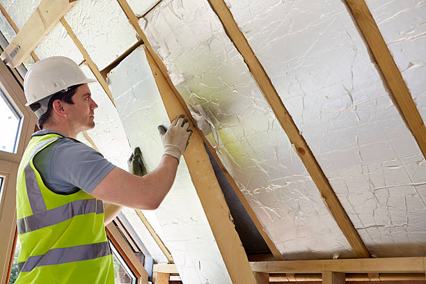 Best Energy-efficient Insulation  in Leland, NC
