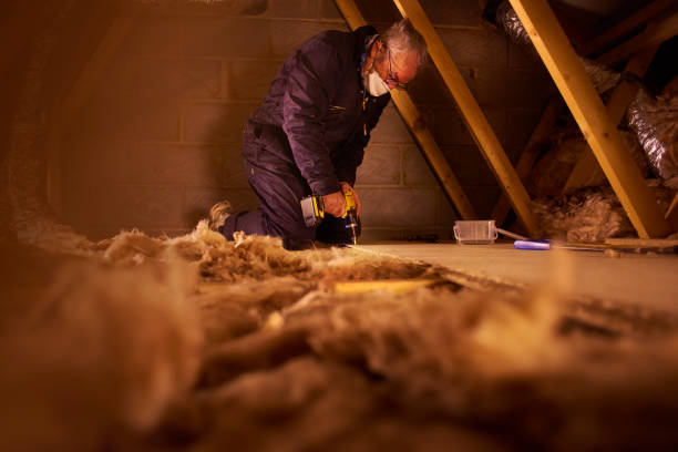 Best Home Insulation Services  in Leland, NC
