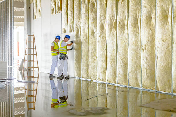 Best Spray Foam Insulation  in Leland, NC